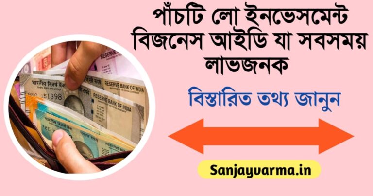 5 Low-Investment Business Ideas That Are Always Profitable(৫টি লো-ইনভেস্টমেন্ট বিজনেস আইডিয়া যা সবসময় লাভজনক)